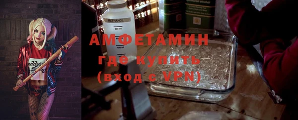 мдпв Вяземский