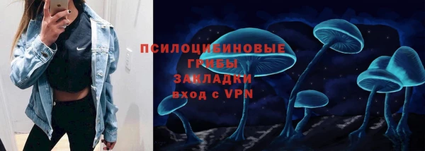 бошки Волоколамск