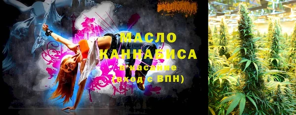 сатива Верея