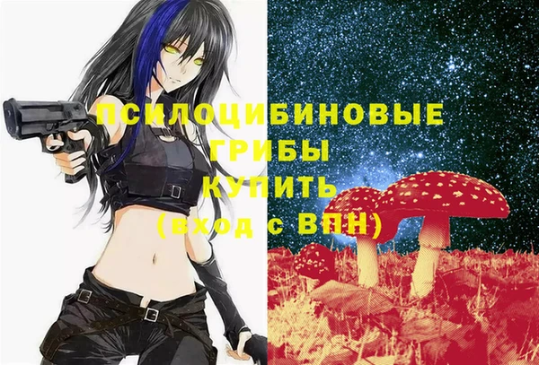 мдпв Вяземский