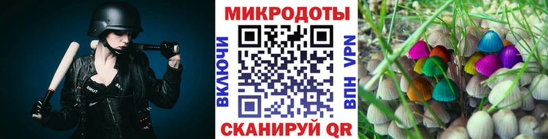 Галлюциногенные грибы Psilocybine cubensis  хочу   Карасук 